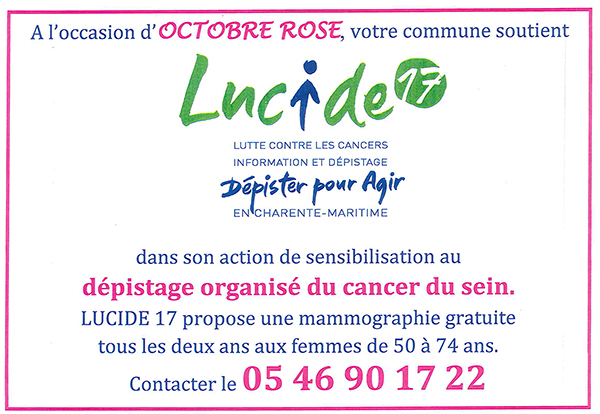 octobre-rose-petit