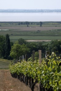 Paysages et patrimoines de l'estuaire de la Gironde, d'une rive à l'autre